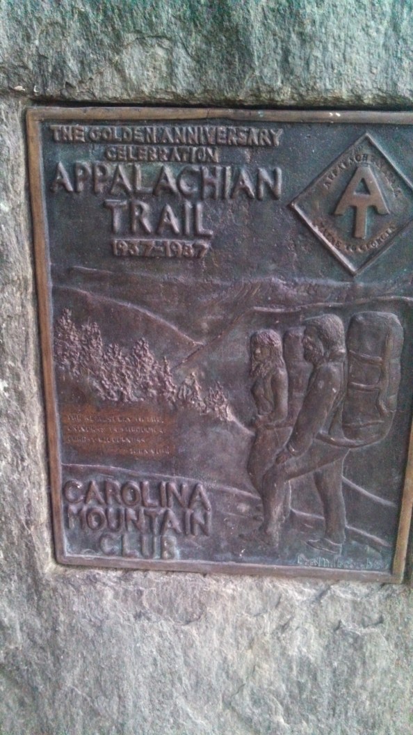 IMG_20131011_081620_219